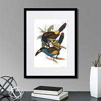 картина: toucans №4, 1849г. в Ставрополе