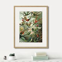 картина: art forms of nature №1, 1897г. в Ставрополе