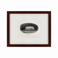 картина: a prize boar, 1867 в Ставрополе