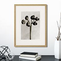 картина: botanical philosophy of forms №4, 1912г. в Ставрополе