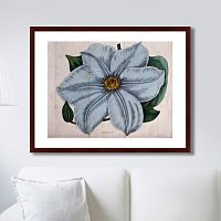 картина: exotic plants of the world №13, 1815г. в Ставрополе