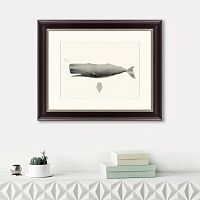 картина: sperm whale (physeter macrocephalus), 1862 в Ставрополе