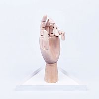 органайзер для украшений the hand белый в Ставрополе