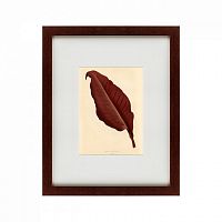 картина: the dark red leaf, 1881 в Ставрополе