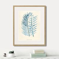 картина: fragmenta botanica №8, 1809г. в Ставрополе