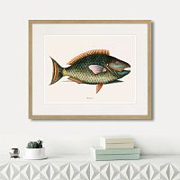 картина: marine life №5, 1725г. в Ставрополе