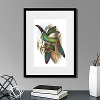 картина: toucans №5, 1849г. в Ставрополе