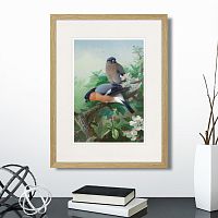 картина: bullfinches, 1915г. в Ставрополе