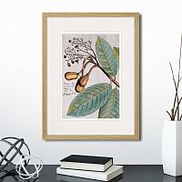 картина: exotic plants of the world №5, 1815 (i) в Ставрополе