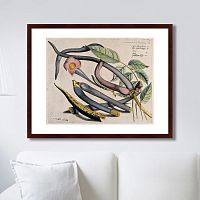 картина: exotic plants of the world №12, 1815г. в Ставрополе
