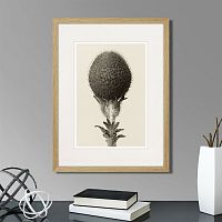 картина: botanical philosophy of forms №6, 1912г. в Ставрополе
