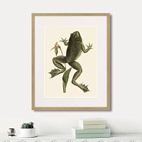 картина: big jumping frog, 1745г. в Ставрополе