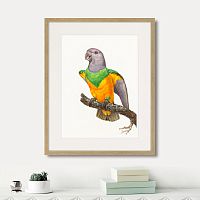 картина: beautiful parrots №8, 1872г. в Ставрополе