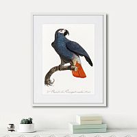 картина: beautiful parrots №5, 1872г. в Ставрополе