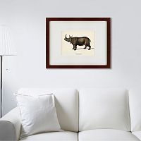 картина: rhinoceros ancienne gravure, 1849 в Ставрополе