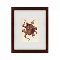 картина: pacific octopus, 1731 в Ставрополе