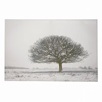 принт wood на подрамнике в Ставрополе