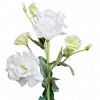 лизиантус белый 77 см (12) в Ставрополе
