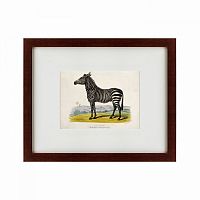 картина: a zebra, 1830 в Ставрополе