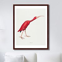 картина: scarlet ibis, 1827г. в Ставрополе