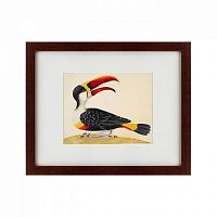 картина: white-throated toucan, 1716 в Ставрополе