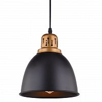 подвесной светильник arte lamp eurica a4245sp-1bk в Ставрополе