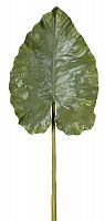 декор giant taro leaf в Ставрополе