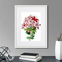 картина: caribian flora red and pink flower, 1740г. в Ставрополе