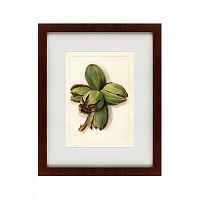 картина: watercolor collection, drawing №1, 1909 в Ставрополе