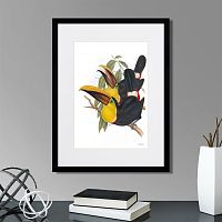картина: toucans №1, 1849г. в Ставрополе