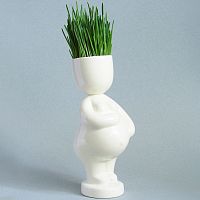 Набор для выращивания eco Мама