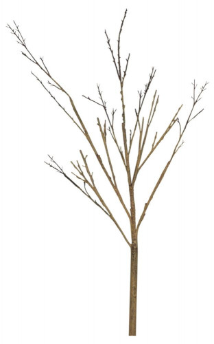 декор twig stem в Ставрополе
