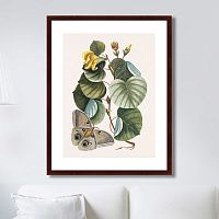 картина: beauty bloom №3, 1732г. в Ставрополе