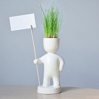 Набор для выращивания eco Знаменосец
