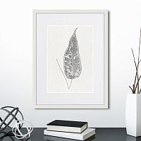 картина: the fern collection №5 в Ставрополе