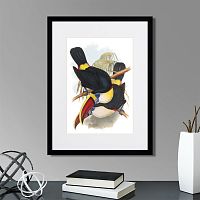 картина: toucans №2, 1849г. в Ставрополе