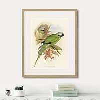 картина: love parrots ii, 1851г. в Ставрополе