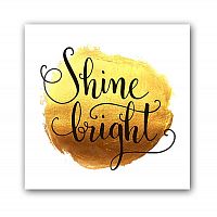 постер shine а3 в Ставрополе