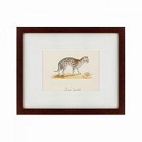 картина: an ocelot, 1801 в Ставрополе