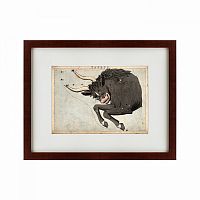 картина: signs of zodiac taurus, 1825 в Ставрополе