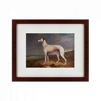 картина: portrait of a greyhound, 1744 в Ставрополе