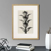 картина: botanical philosophy of forms №7, 1912г. в Ставрополе