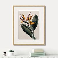 картина: exotic plants of the world №4, 1815г. в Ставрополе