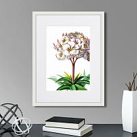 картина: caribian flora plumeria, 1740г. в Ставрополе