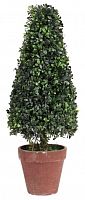 искусственное дерево в горшке topiary в Ставрополе