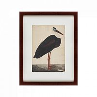 картина: black stork in a landscape, индия, 1780 в Ставрополе