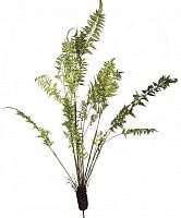 декор fern plant в Ставрополе