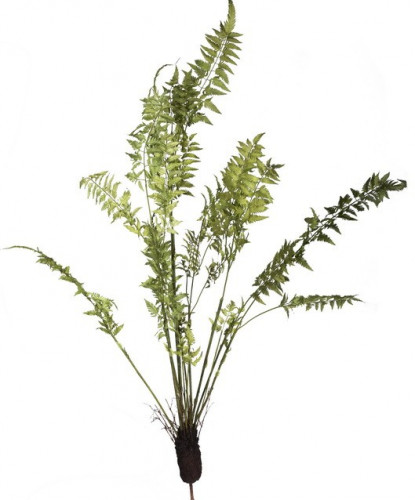 декор fern plant в Ставрополе