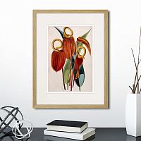 картина: exotic plants of the world №15, 1815г. в Ставрополе
