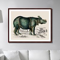картина: rhinoceros, 1774г. в Ставрополе